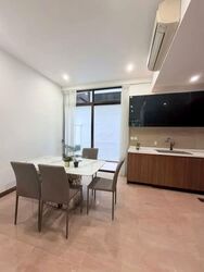 Holland Link (D10), Terrace #556148331